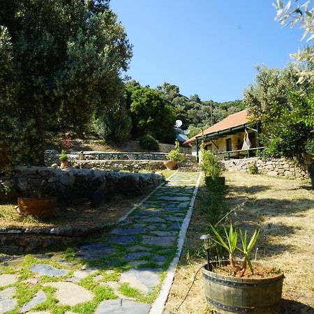 Elpida Country House -Paleochora-Anidri מראה חיצוני תמונה